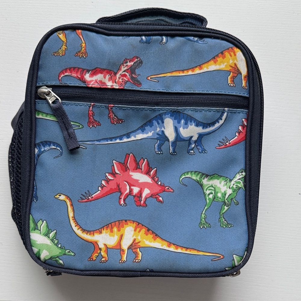 Pottery Barn Kids Dinosaur Print Lunch Bag - Blue and Multicolor